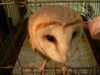 blog'08.01.24 001.jpg