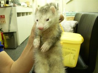 blog'08.01.24 002.jpg