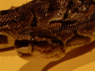 blog'08.01.24 003.jpg
